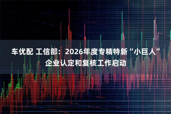 车优配 工信部:2026年度专精特新“小巨人”企业认定和复核工作启动