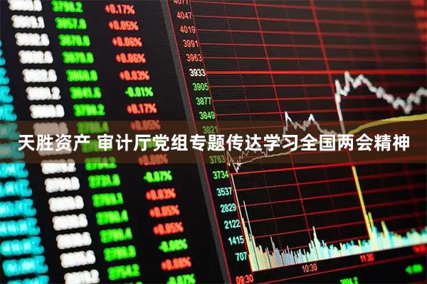 天胜资产 审计厅党组专题传达学习全国两会精神