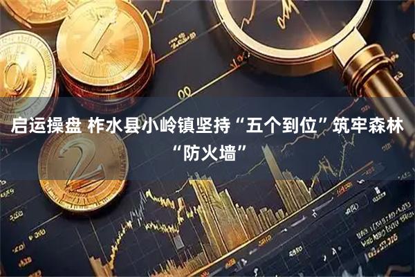 启运操盘 柞水县小岭镇坚持“五个到位”筑牢森林“防火墙”