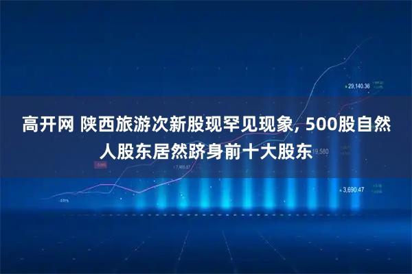 高开网 陕西旅游次新股现罕见现象, 500股自然人股东居然跻身前十大股东